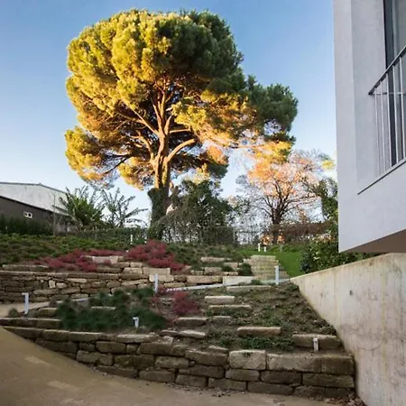 Host Wise - Modern Stuning Flat W Prime Location * Porto