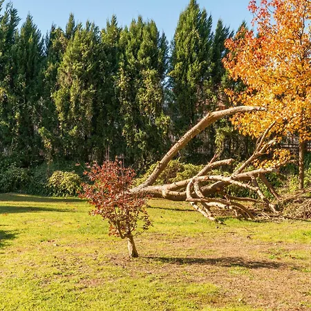 Lejlighed Host Wise - Modern Stuning Flat W Prime Location Porto