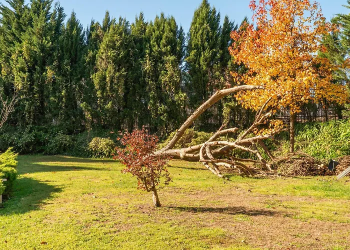 Daire Host Wise - Modern Stuning Flat W Prime Location Porto